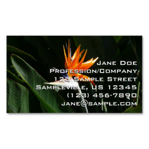 Paradiesvogel Orange Tropische Blume Magnetische Visitenkarte