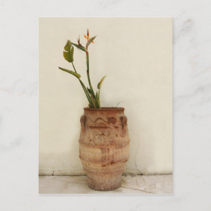 Paradiesvogel Pflanze Postkarte