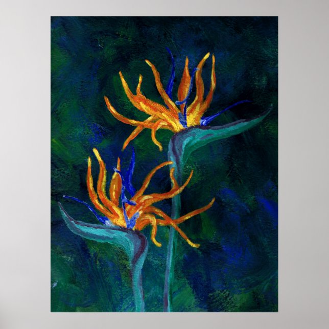 Paradiesvögel Poster (Vorne)