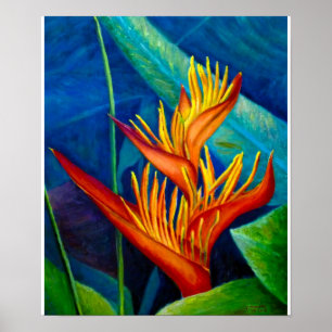 Paradiesvogel Poster
