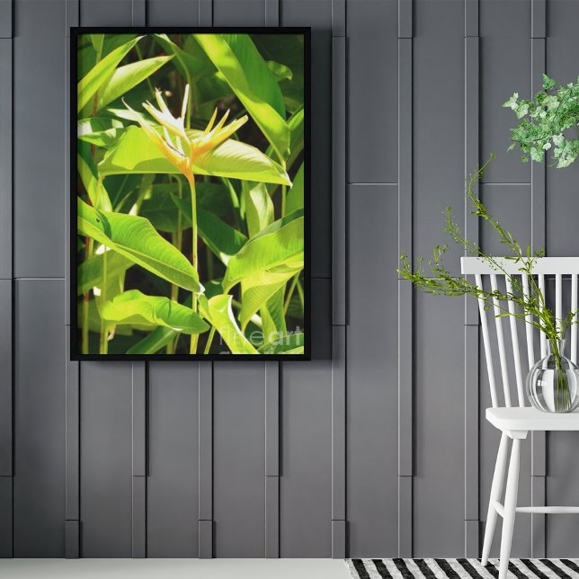 Paradiesvogel Poster (Von Creator hochgeladen)