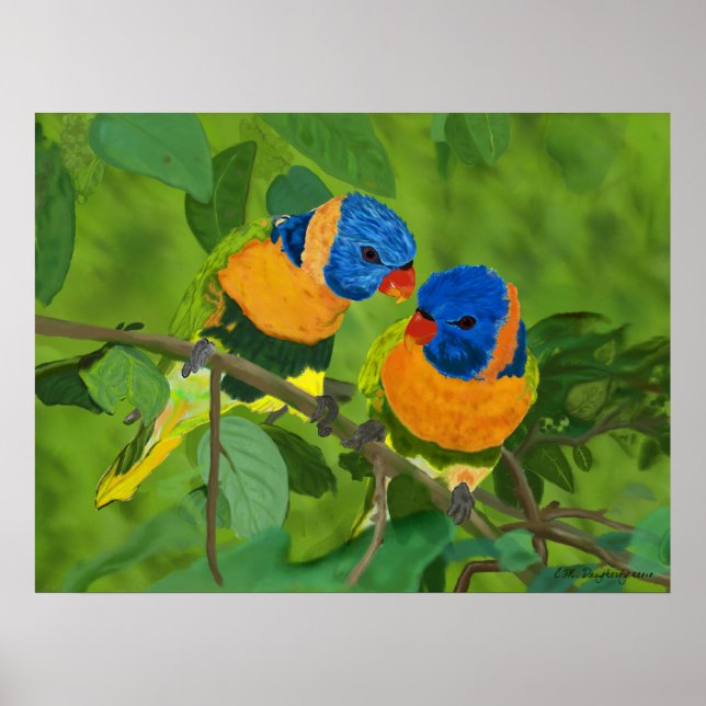 Paradiesvögel Poster (Vorne)