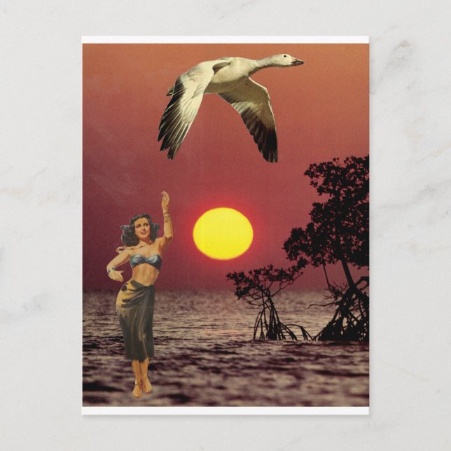 Paradiesvogel - postkarte (Vorderseite)