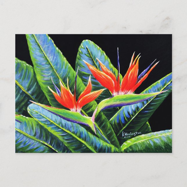 Paradiesvögel Postkarte (Vorderseite)