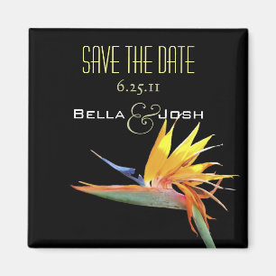 Paradiesvogel Save the Date Magneten Magnet