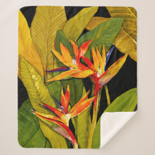 Paradiesvogel Sherpadecke