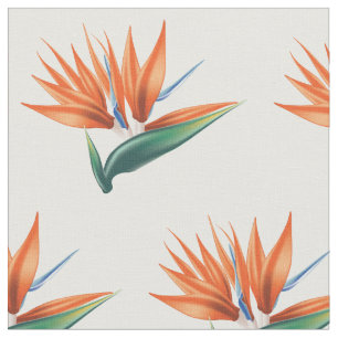Paradiesvogel, strelitzia exotische Blume Stoff