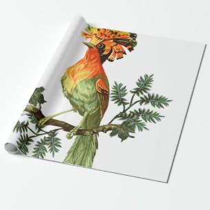Paradiesvogel und exotische Blume auf weißem Grund Geschenkpapier