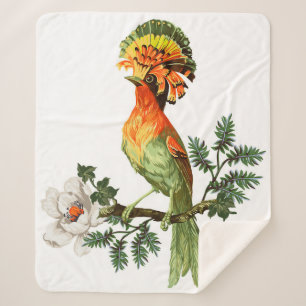Paradiesvogel und exotische Blume auf weißem Grund Sherpadecke