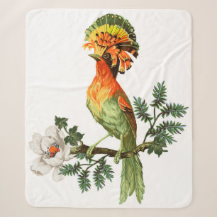 Paradiesvogel und exotische Blume auf weißem Grund Sherpadecke