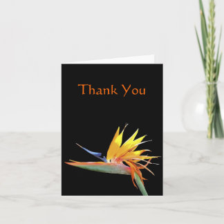 Paradiesvogel Vielen Dank Hinweis Dankeskarte