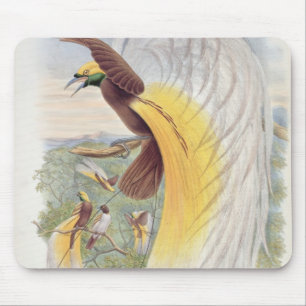 Paradiesvogel, 'von den Vögeln von New Guinea Mousepad