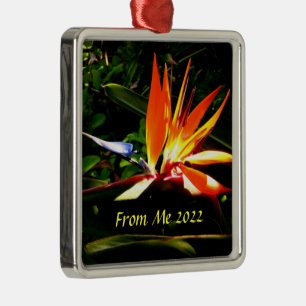 Paradiesvogel-Weihnachtsbaumanhänger   Ornament Aus Metall