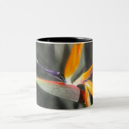 Paradiesvogel Zweifarbige Tasse