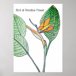 Paradiesvogelblume Poster