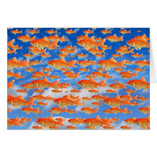 Paradis des poissons rouges