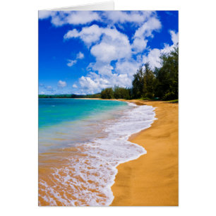 Paradis tropical de la plage, Hawaï