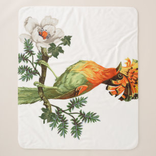 Paradise Birds: Exotic Floral Background Sherpadecke