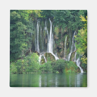 Paradise Falls Magnet