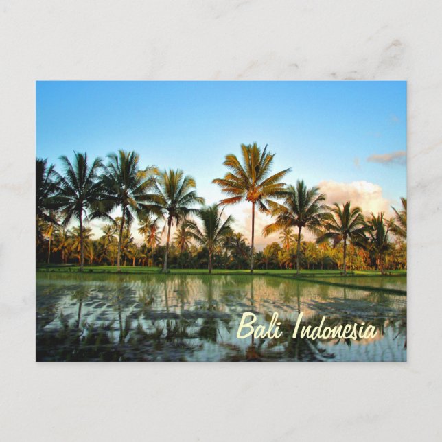 Paradise Foto Tropical Palm Trees Bali Indonesien Postkarte (Vorderseite)