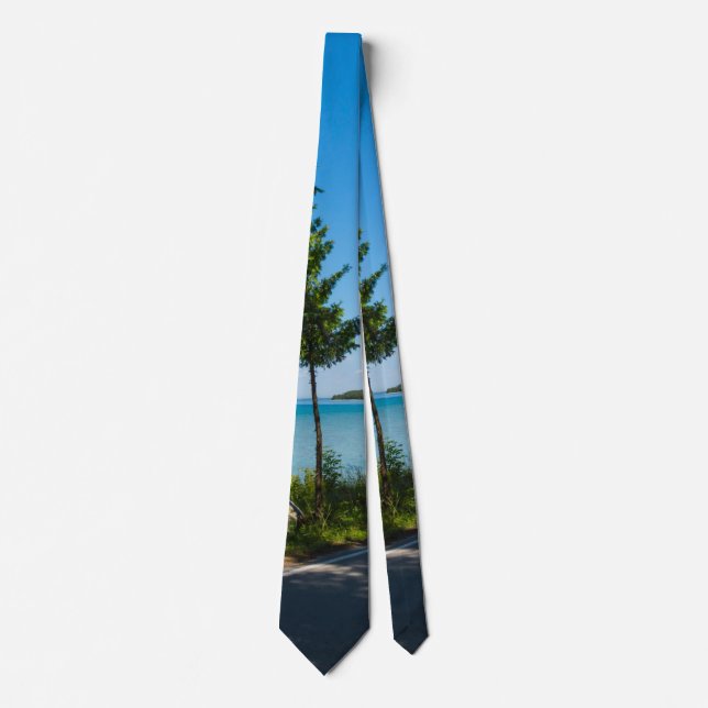 Paradise Neck Tie Krawatte (Vorderseite)