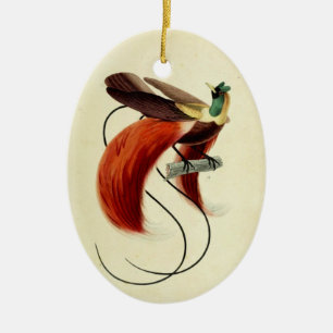 Paradise-Vogel, Vogelillustration, Vintag Keramik Ornament