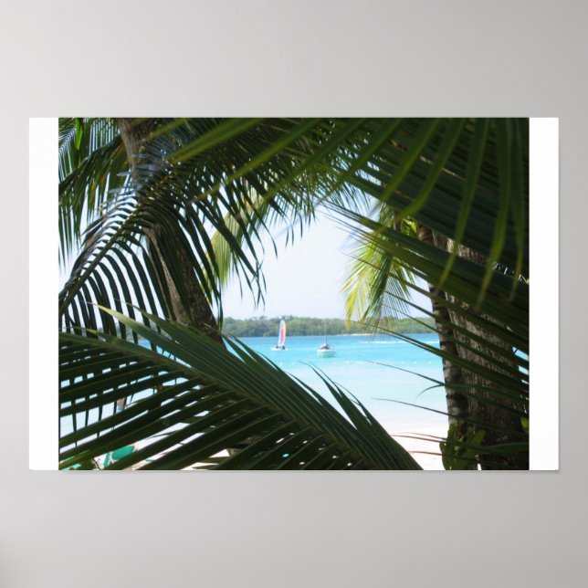 Paradise Window Poster (Vorne)