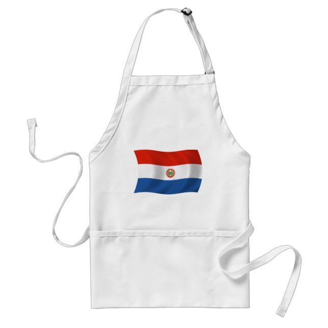 Paraguay Flag Schürze (Vorne)