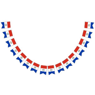 Paraguay-Flagge Wimpelkette