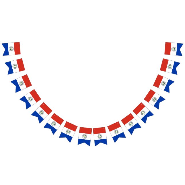 Paraguay-Flagge Wimpelkette (Alle)