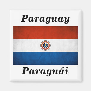 Paraguay-Nationalflagge Magnet