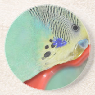 Parakeet, der im Spiegel schaut Untersetzer