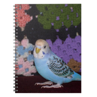 Parakeet-Notizbuch Notizblock