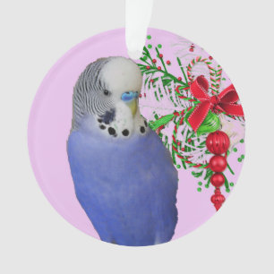 Parakeet Ornament für Urlaub und Zuhause