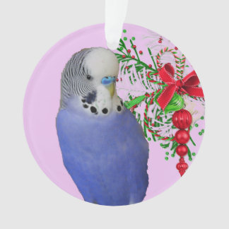 Parakeet Ornament für Urlaub und Zuhause