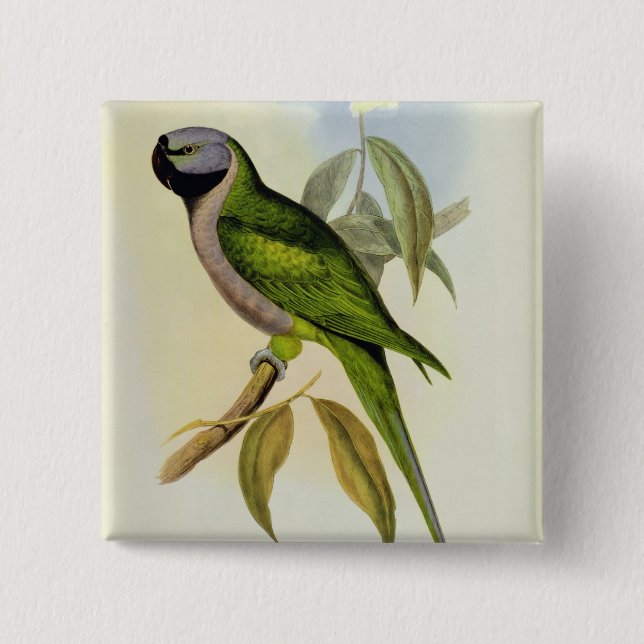 Parakeet: Palaeornis Derbianus, c.1850 Button (Vorderseite)