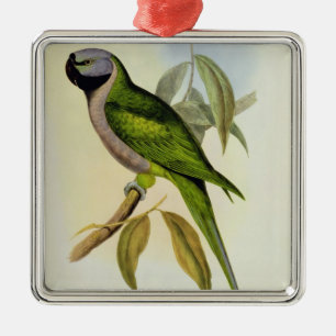 Parakeet: Palaeornis Derbianus, c.1850 Ornament Aus Metall