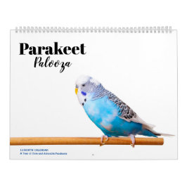 Parakeet Palooza Kalender