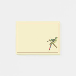 Parakeet Post-it Klebezettel