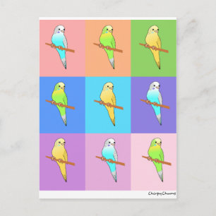 Parakeet-Regenbogenrechtecke Postkarte