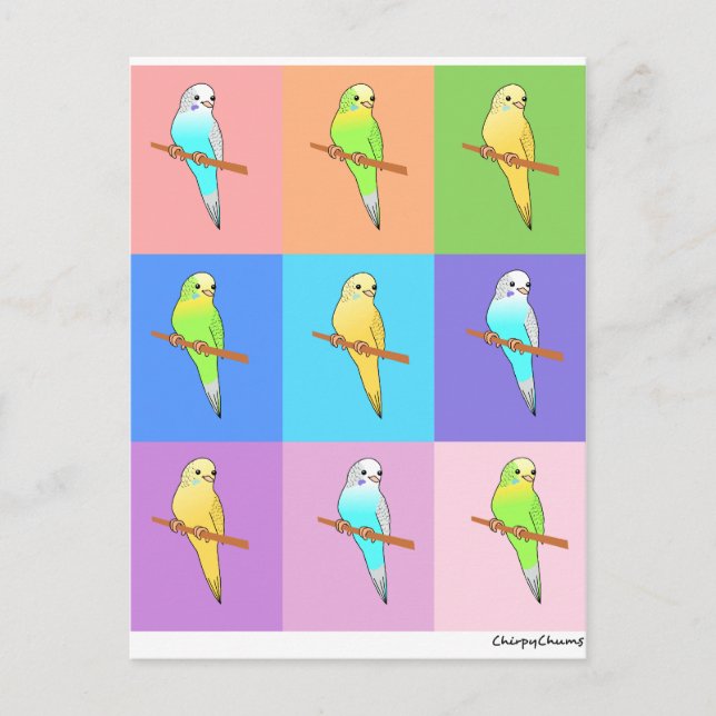 Parakeet-Regenbogenrechtecke Postkarte (Vorderseite)