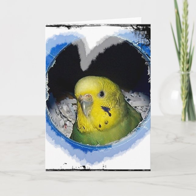 Parakeet-Vogel-Herz-Gruß-Karte Karte (Vorderseite)
