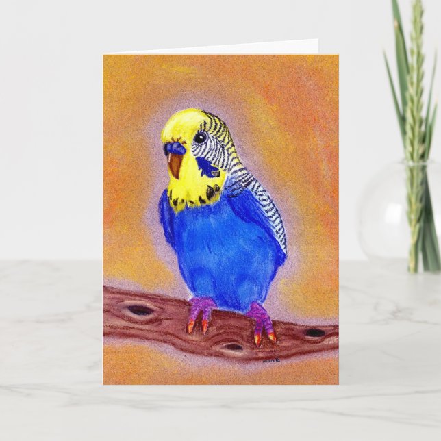 Parakeet-Vogel-Raum-Gruß-Karte Karte (Vorderseite)