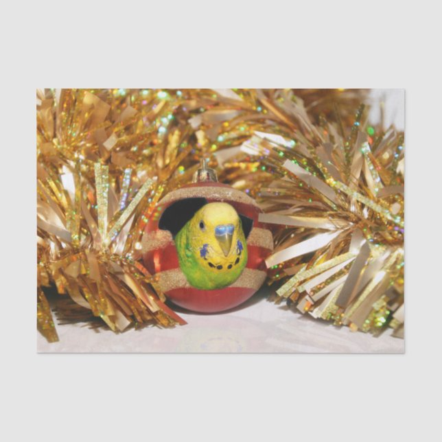 Parakeet-Weihnachten Seidenpapier (Vorderseite)