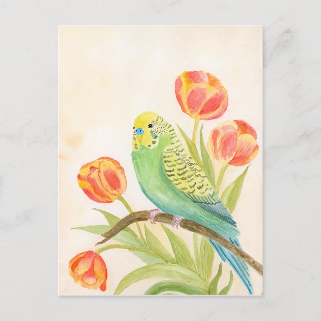 Parakeet with Tulips  Postkarte (Vorderseite)