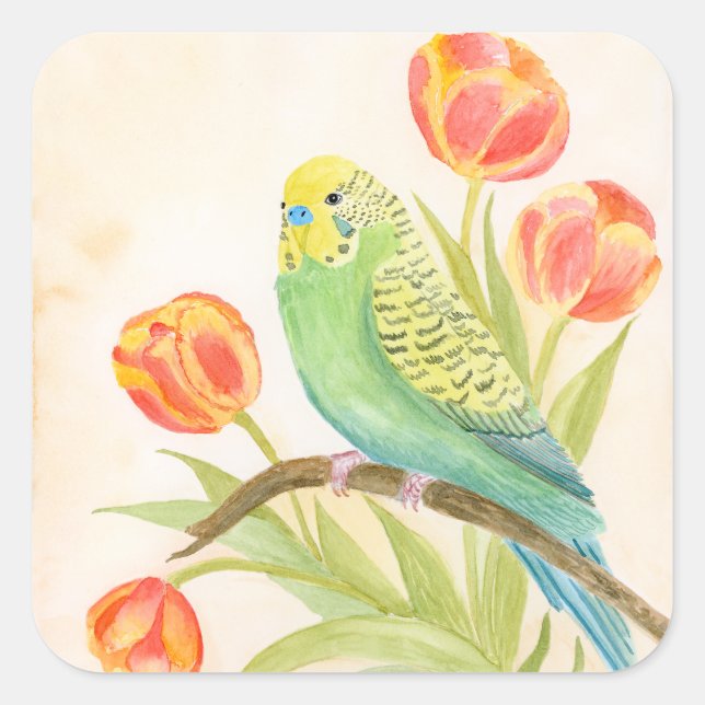 Parakeet with Tulips  Quadratischer Aufkleber (Vorderseite)
