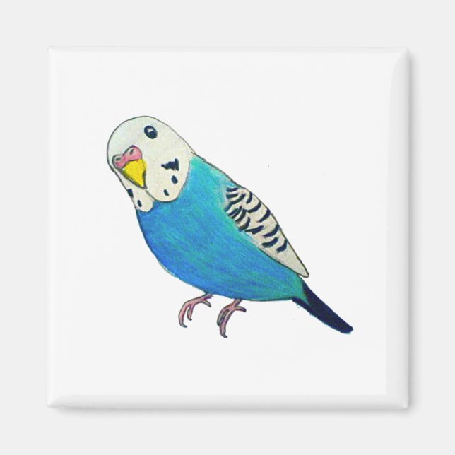 Parakeet Zeichnend Magnet (Vorne)
