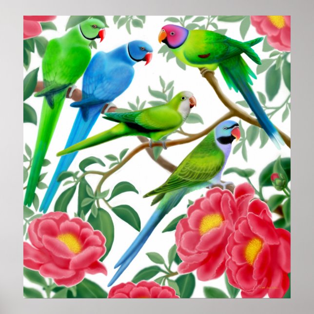Parakeets & Peonies Print Poster (Vorne)