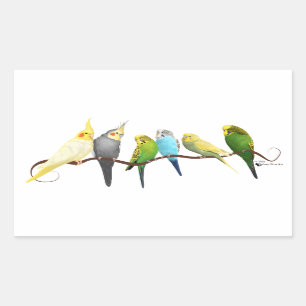 Parakeets u. Cockatiels! Rechteckiger Aufkleber