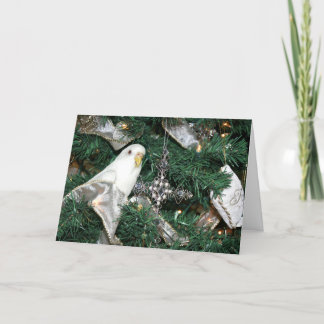 Paraket in einem Weihnachtsbaum Feiertagskarte